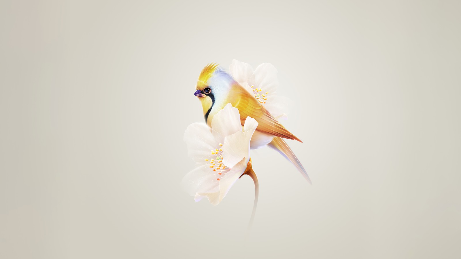 pretty, hummingbird, white flower, yellow aesthetic, harmonyos wallpaper