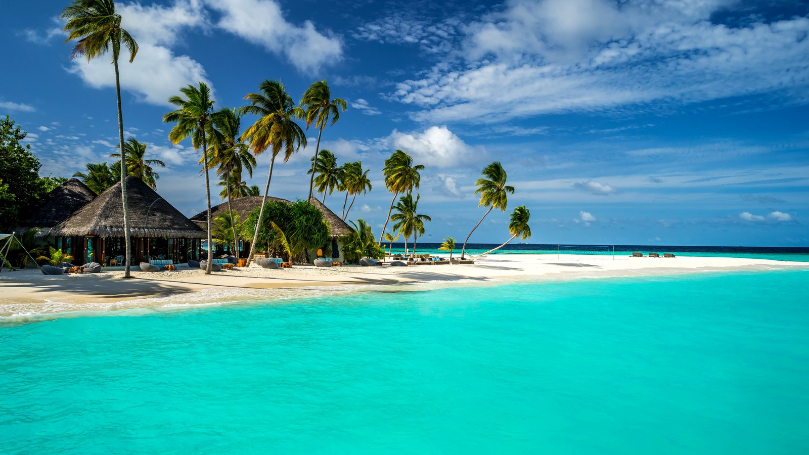 Une vue d'une plage avec des palmiers et une cabane sur le rivage (océan, maldives, ciel, île, station)