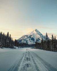 Von Schnee bedeckte Straße führt zu majestätischem Berg in winterlicher Wildnis