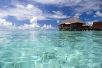 Tropical beachfront resort with a tranquil swimming pool and overwater bungalows amidst clear blue waters and a picturesque sky.