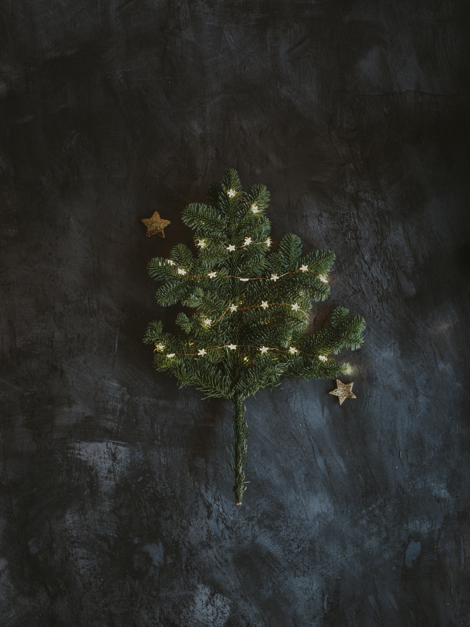 There is a small christmas tree with lights on it (tree, plant, branch, space, texture)