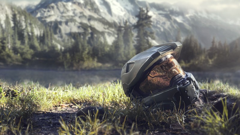 На земле лежит кот в шлеме (хало бесконечность, видеоигра, master chief)