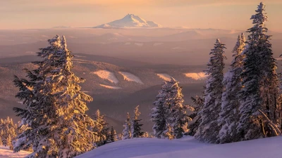 Pôr do sol sobre montanhas cobertas de neve e pinheiros congelados