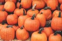 autumn, natural foods, pumpkin, calabaza, local food wallpaper