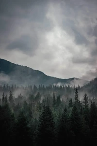 Paisaje montañoso brumoso bajo nubes grises