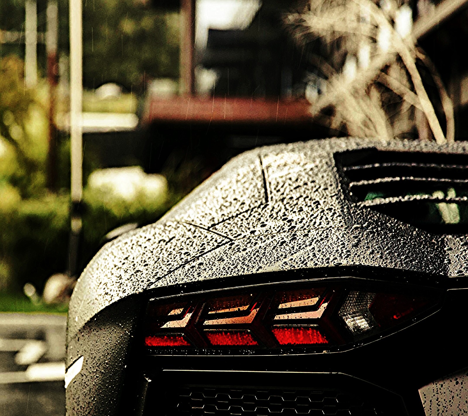 Descargar fondo de pantalla lamborghini, wet car