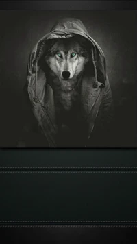 dark, hoodie, leatherbacking, nightstalker, wolf wallpaper