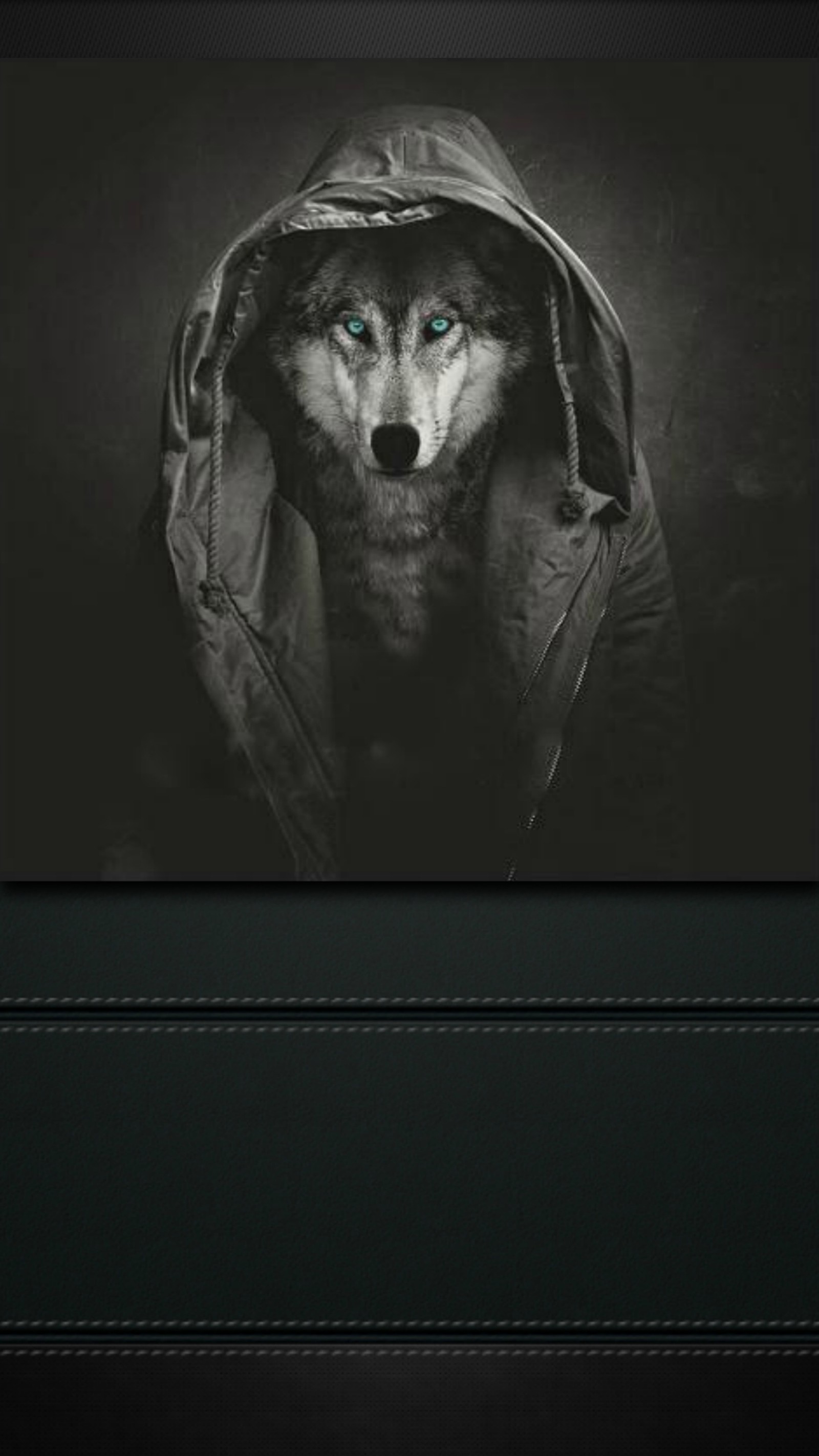 Descargar fondo de pantalla oscuro, sudadera con capucha, leatherbacking, cazador nocturno, lobo