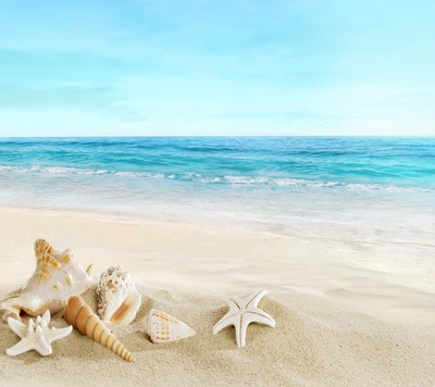 Paysage de plage tranquille avec des coquillages sur du sable doux