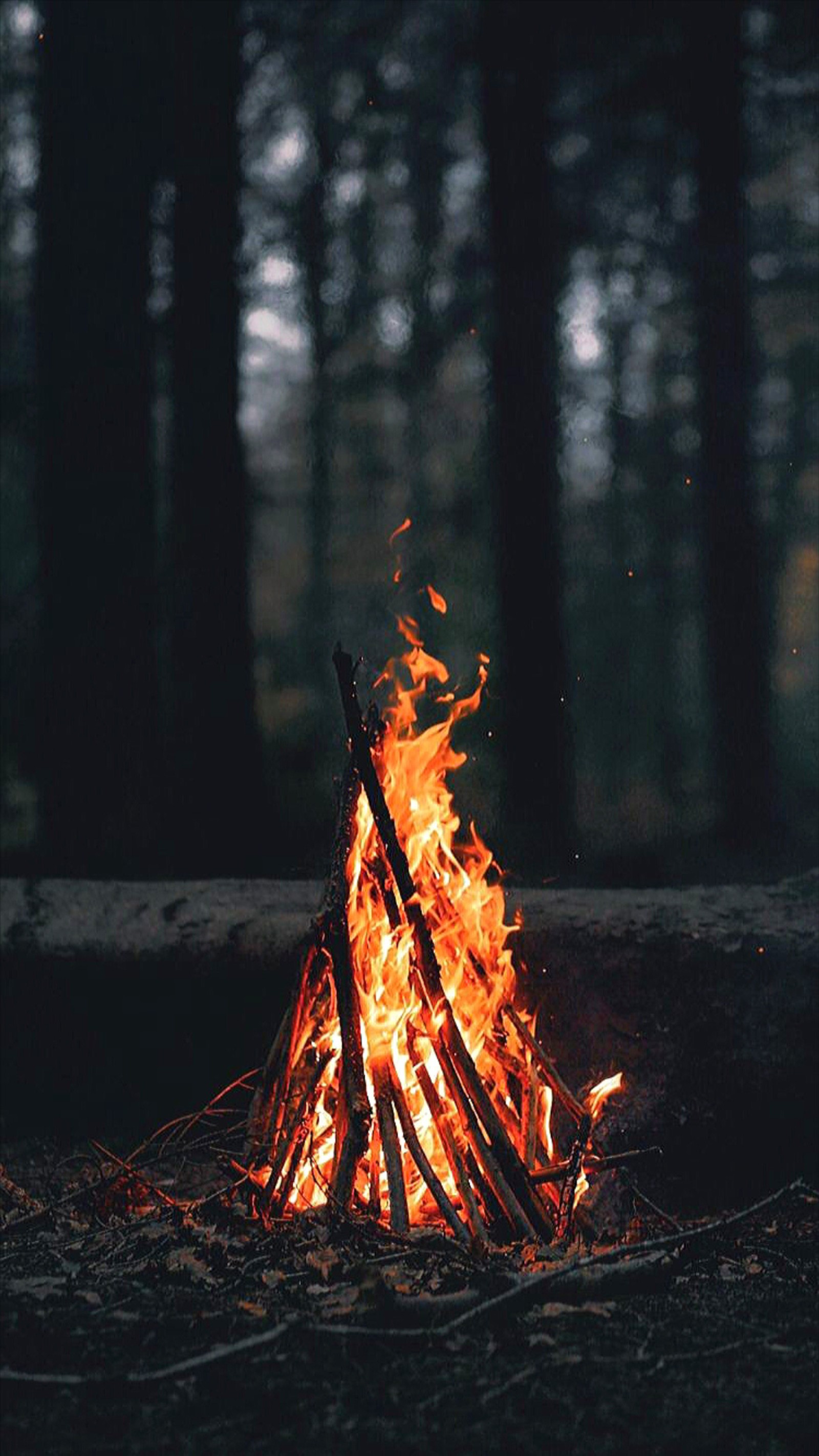 Hay un fuego ardiendo en medio del bosque (ramas, fogata, oscuro, fuego, bosque)