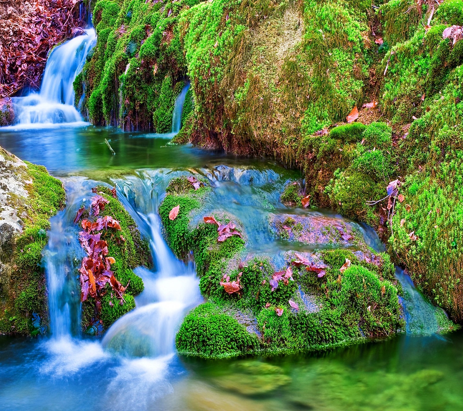 Un gros plan d'une cascade avec de la mousse et des feuilles sur les rochers. (beau, flueve, ruisseau, la cascade)