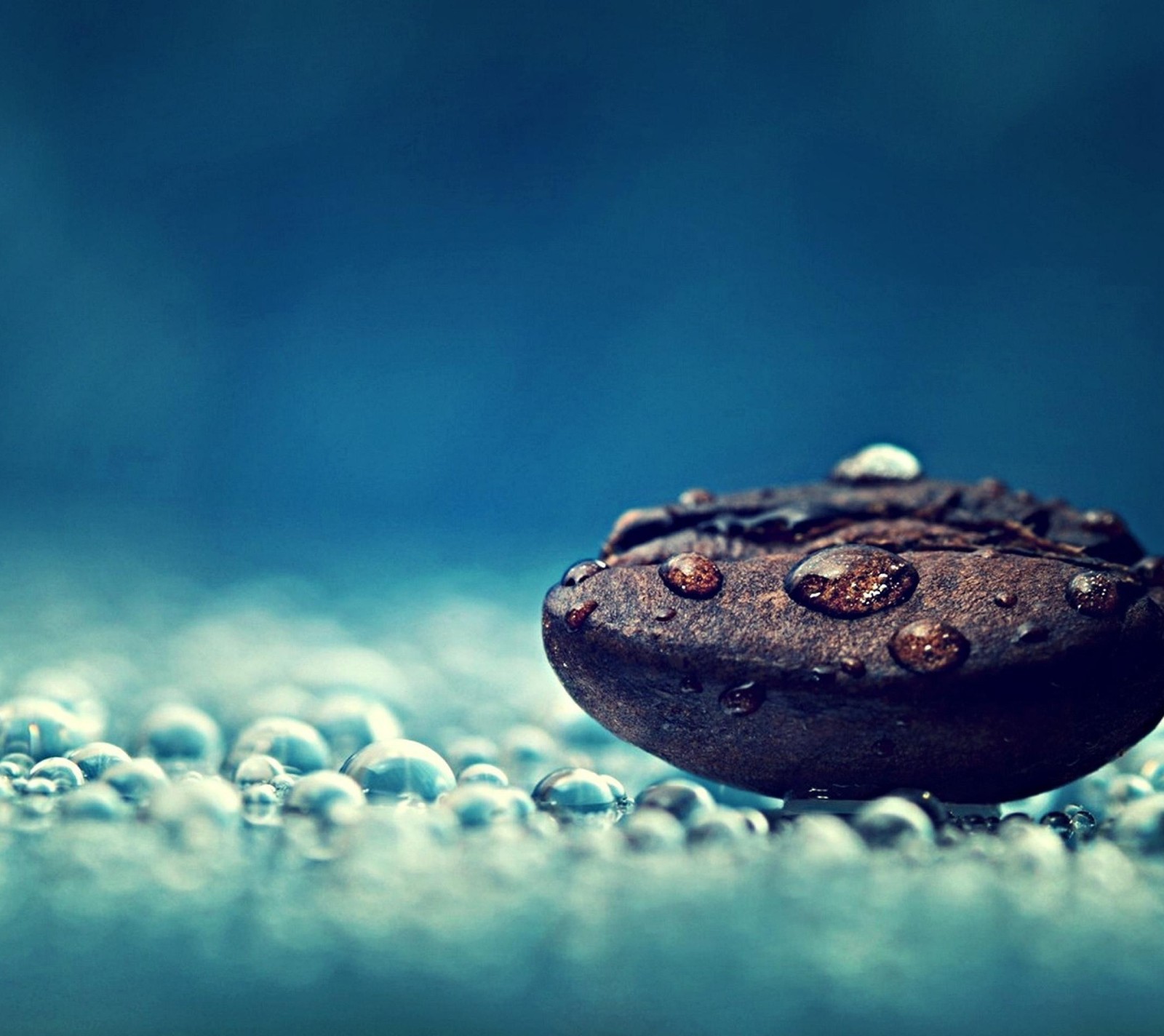 Ein schokoladendonut mit wassertropfen darauf (bohne, natur)