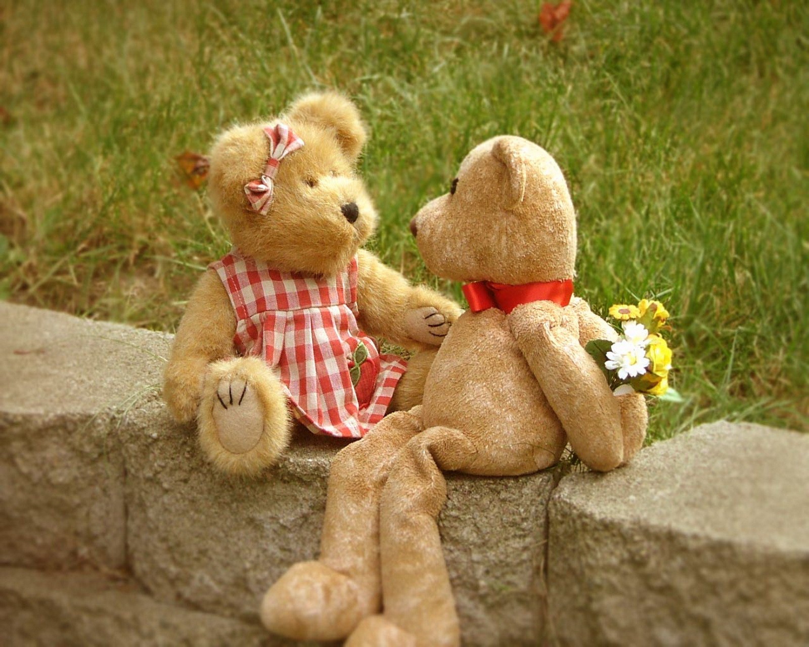 Zwei teddybären sitzen auf einer steinmauer mit blumen (niedlich, teddys)