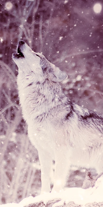 A lone wolf howling amidst falling snowflakes.