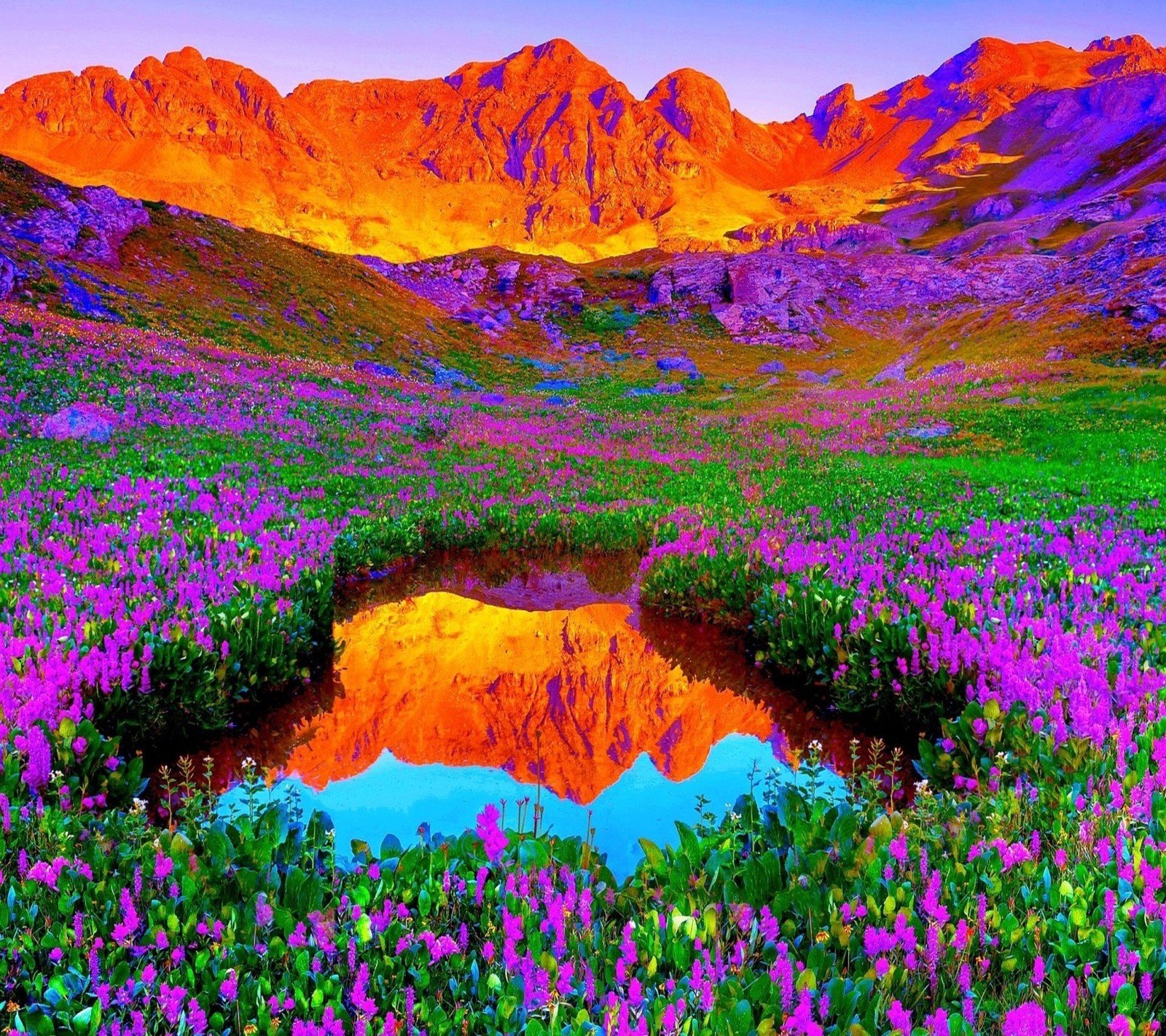 A painting of a mountain range with a lake and flowers (field, flowers, mountains, nature, purple)