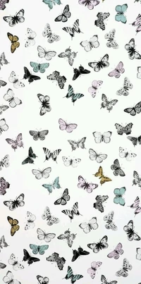 butterflies, pattern