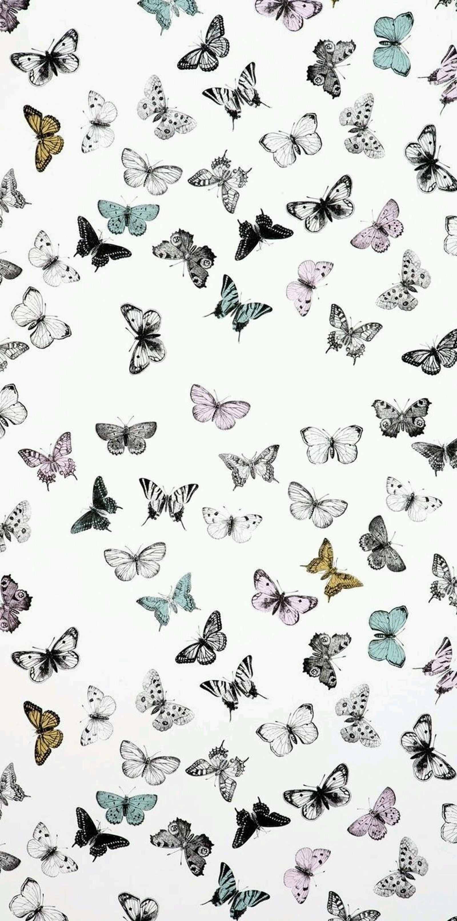 butterflies, pattern Download Wallpaper