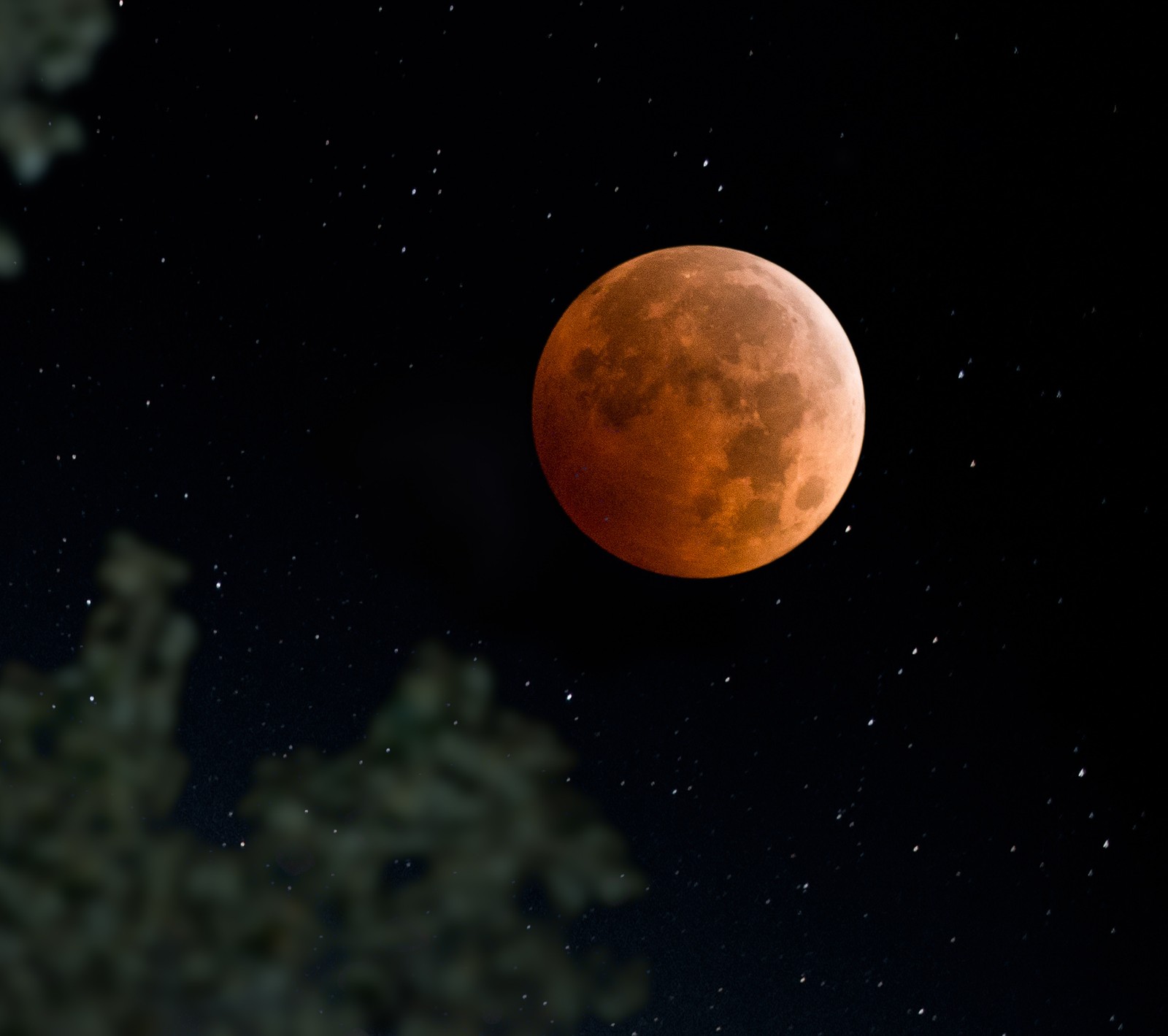 Descargar fondo de pantalla eclipse, luna