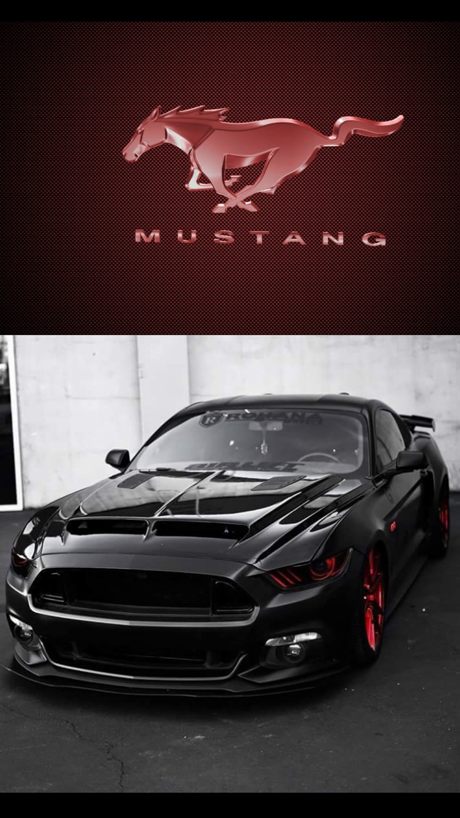 Lade mustang, nett Hintergrund herunter