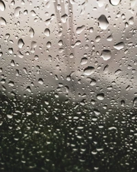 drop, rain, dew, water, drizzle wallpaper