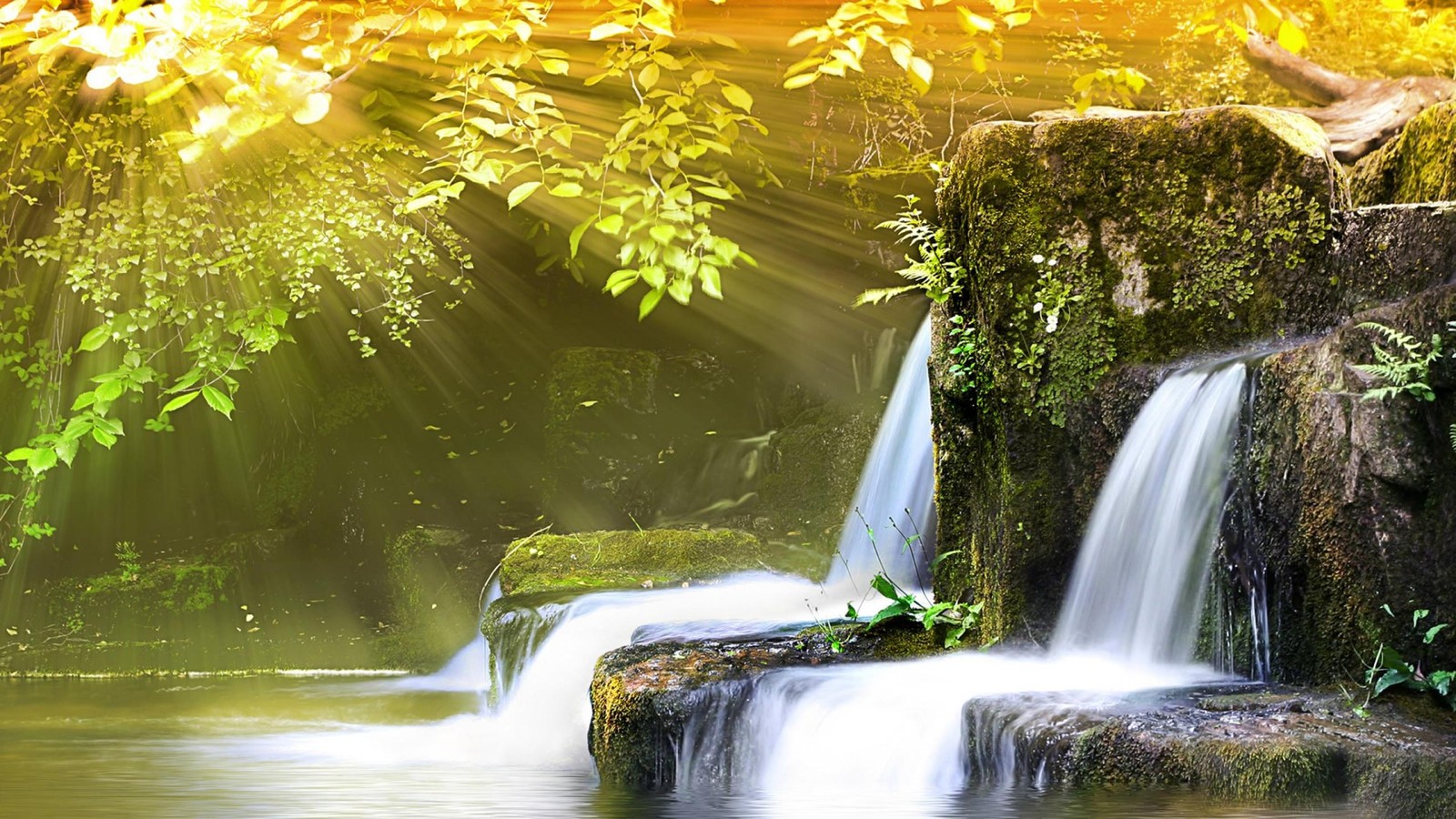 A waterfall in the middle of a forest with sunlight streaming through it (nature, waterfall, water resources, body of water, water)