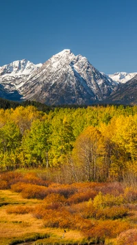 Lebendige Herbstlandschaft mit schneebedeckten Bergen und Lärchenbäumen