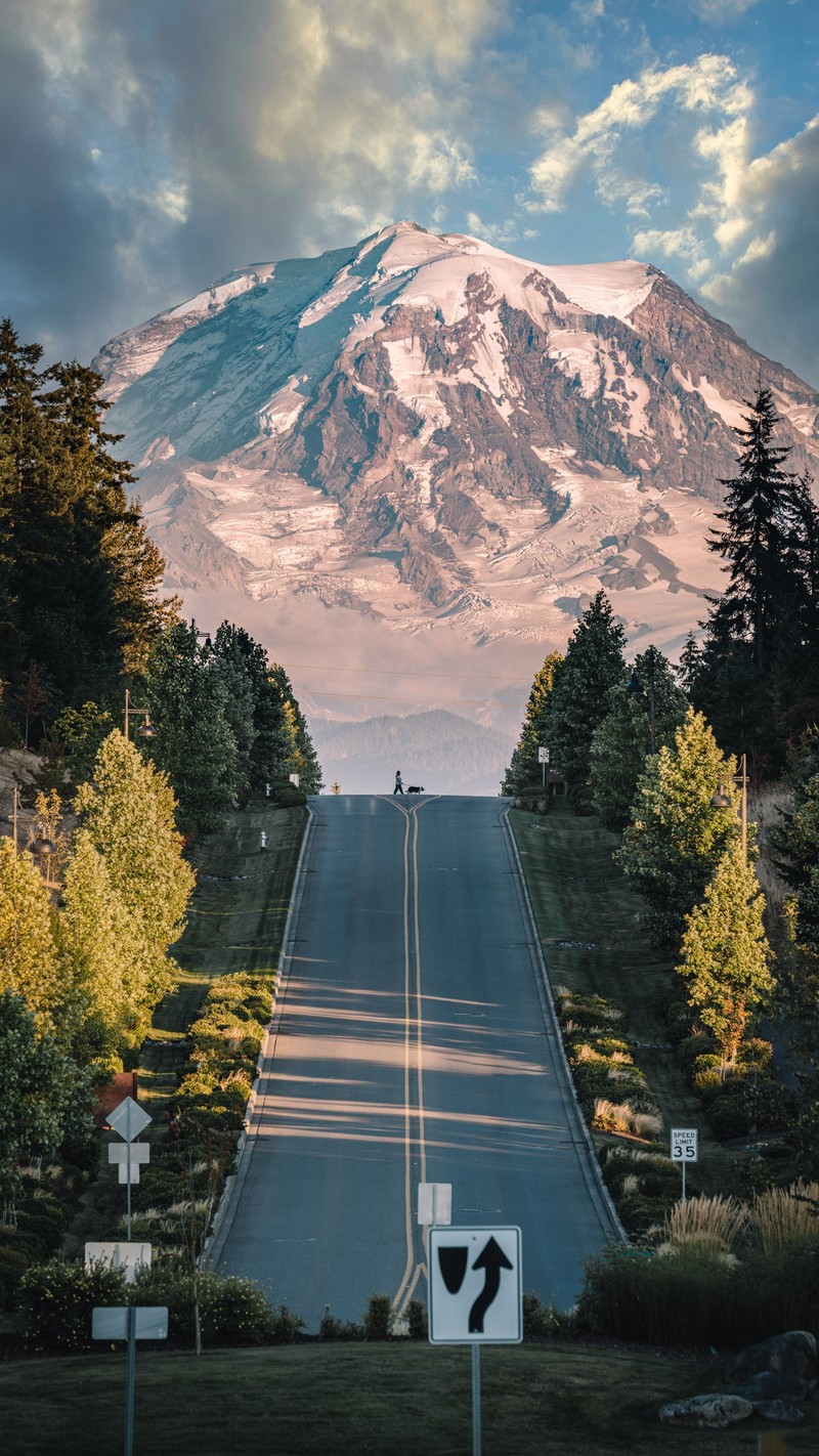 Гора с дорожным знаком и указателем вправо (гора рейнир, mount rainier, облако, растение, дневное время)