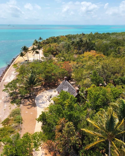 Une végétation côtière luxuriante rencontre des eaux turquoise tranquilles, mettant en valeur un paisible refuge en bord de mer niché parmi des palmiers et des rivages de sable.