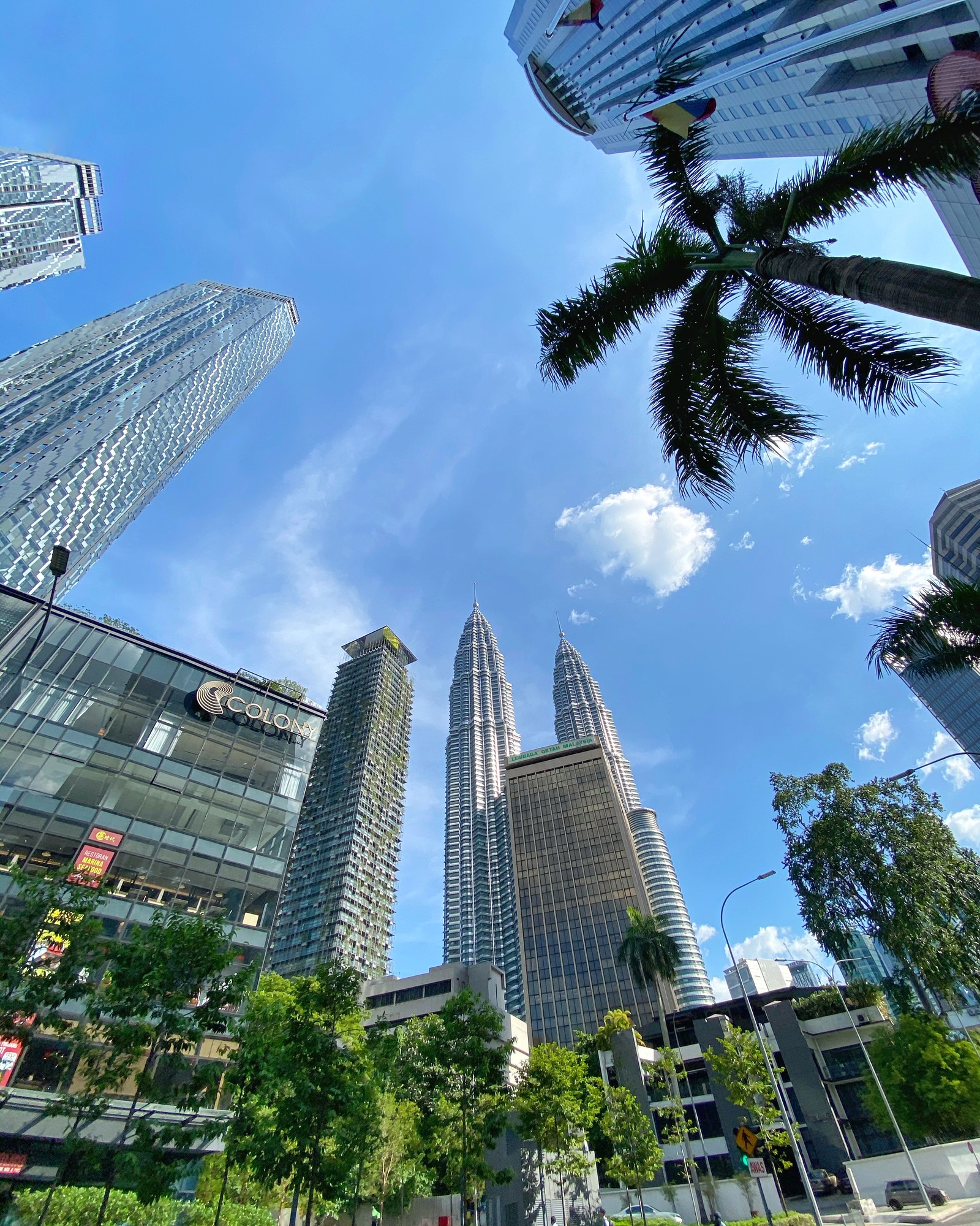 Edifícios altos em uma cidade com palmeiras e céu azul (kuala lumpur, palmeiras, dia, bloco de torre, arquitetura)