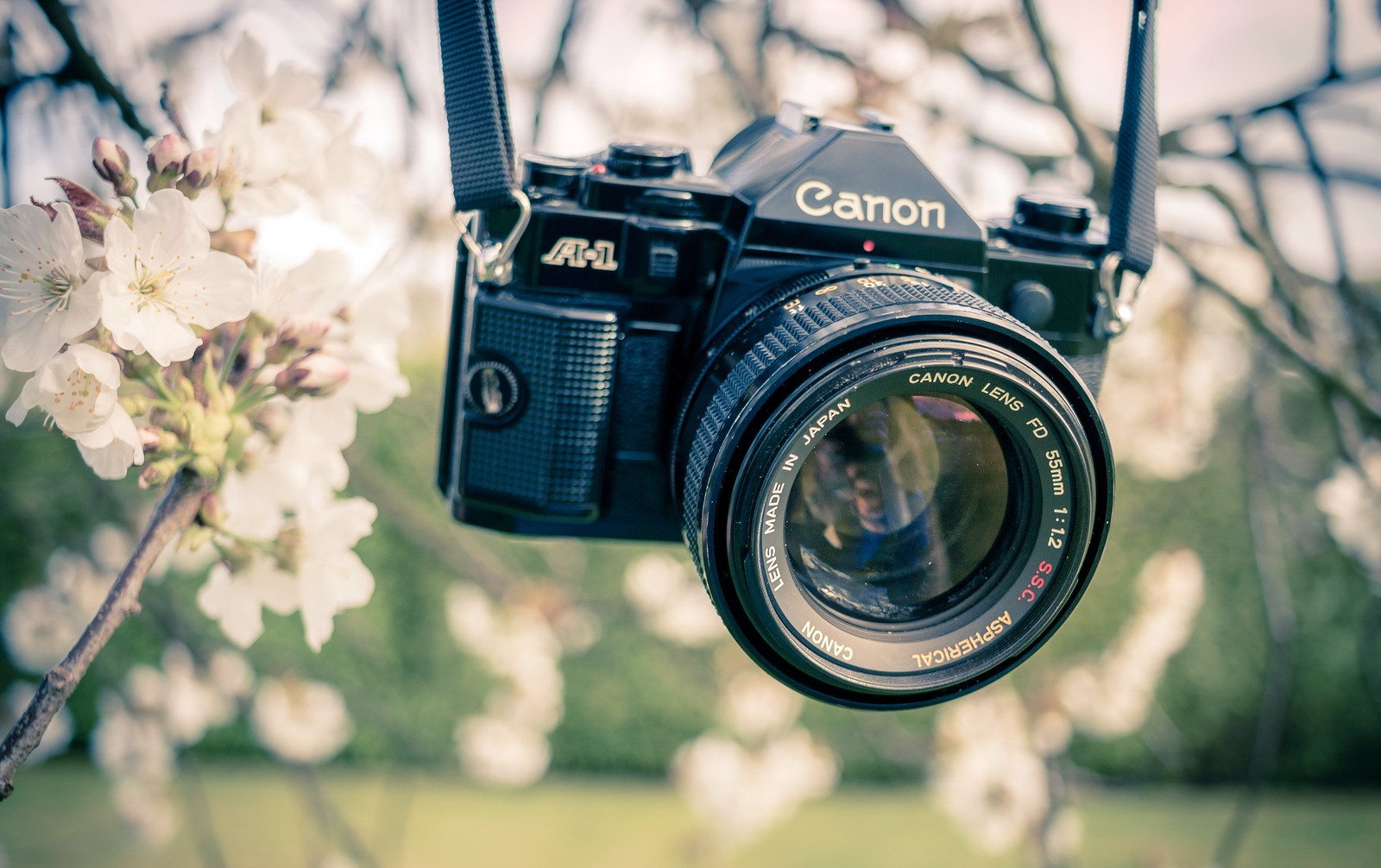 camera, digital slr, canon, camera lens, cameras optics wallpaper