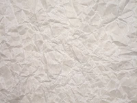 Crumpled White Paper Texture