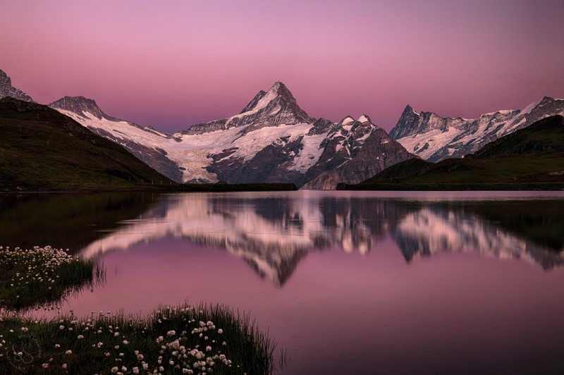 Горы отражаются в озере на закате с розовым небом (bachalpsee lake, швейцария, швейцарские альпы, розовое небо, покрытый снегом)