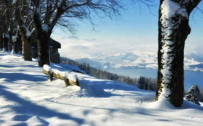 nieve, invierno, árbol, congelación, alpes