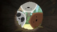 Curious Bears Peeking Through a Log in We Bare Bears