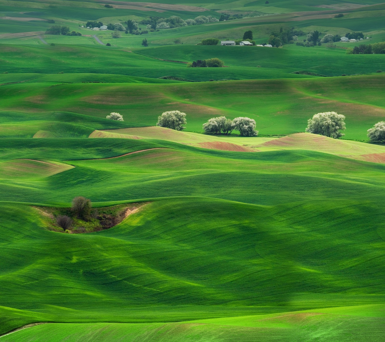 Arafed view of a green field with trees and a small house (huawei, huawei mate, huawei mate 10, landscape, theatrical scenery)