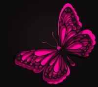 background, butterfly, pink abstract