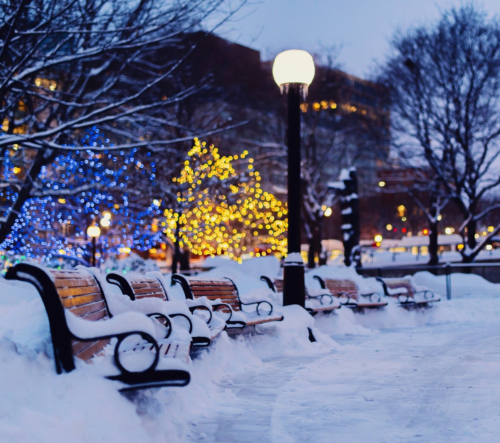 Bancs enneigés dans un parc avec des lumières de noël en arrière-plan (noël, lumières, temps)