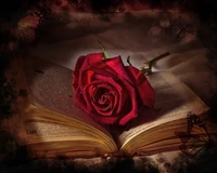 old book, rose rouge