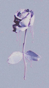 Drippy Purple Rose: A Unique Nature Edit