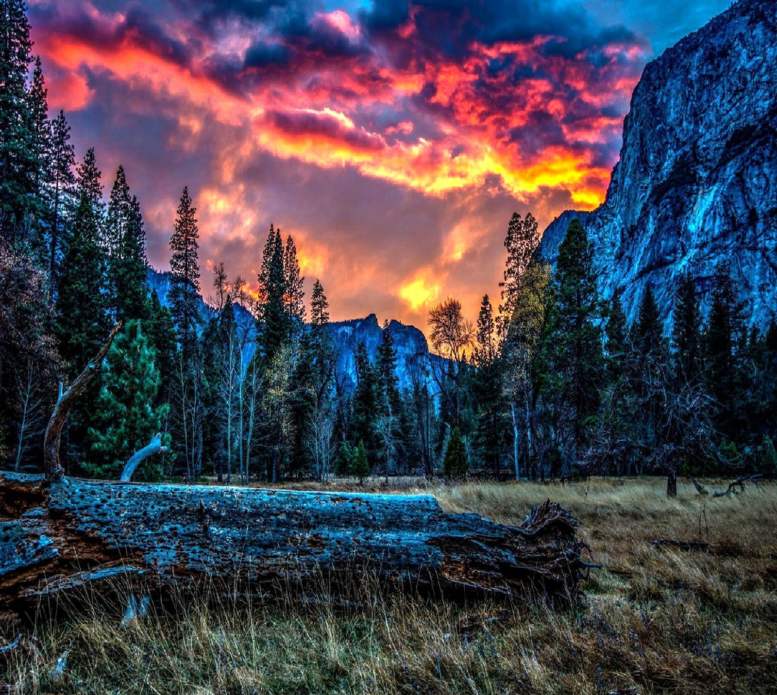 Un coucher de soleil coloré sur une chaîne de montagnes avec un arbre tombé (nature)