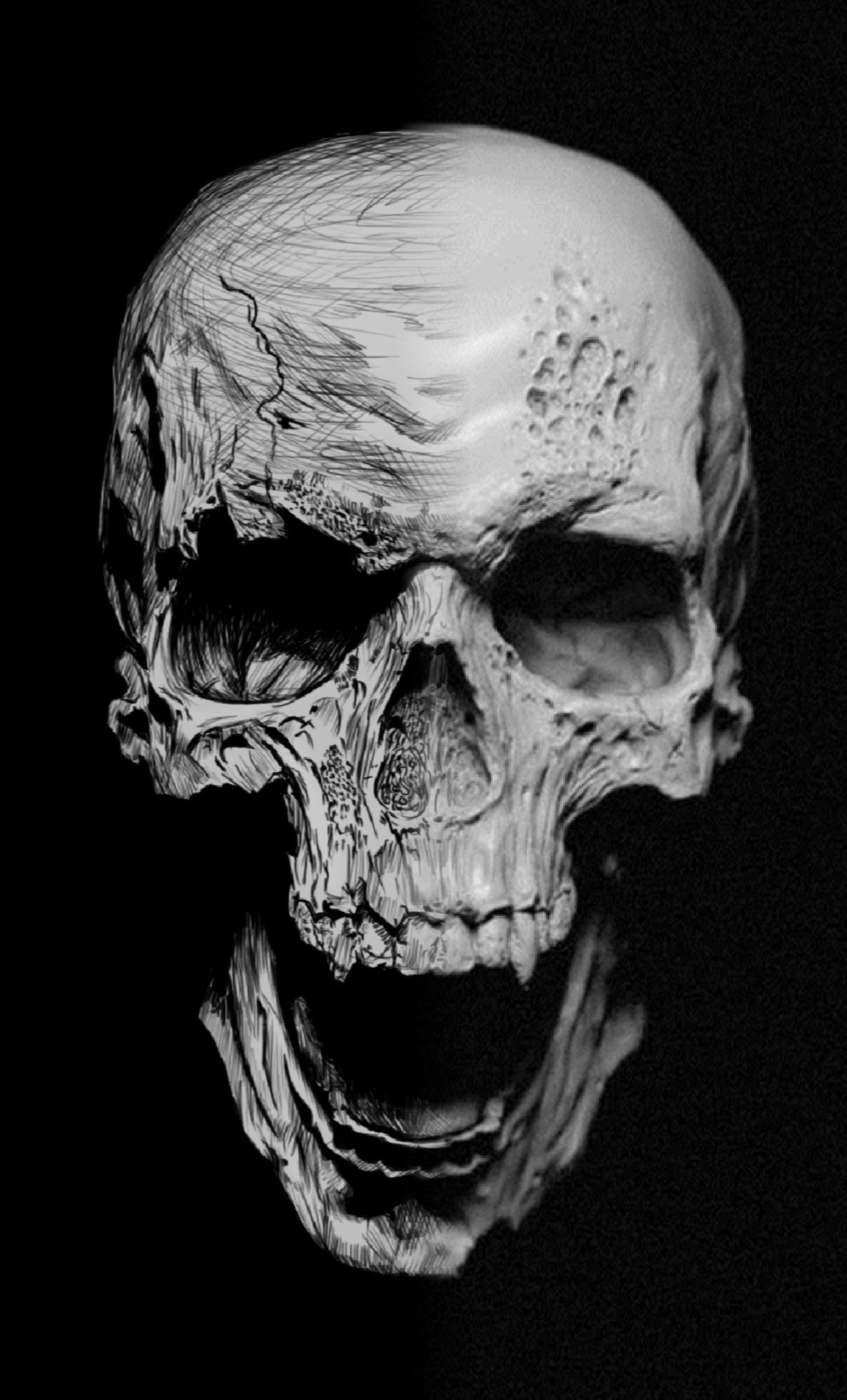 A close up of a skull with a very large mouth (awesome, cool, drawing, real, scream)