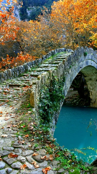 otoño, azul, puente, hoja