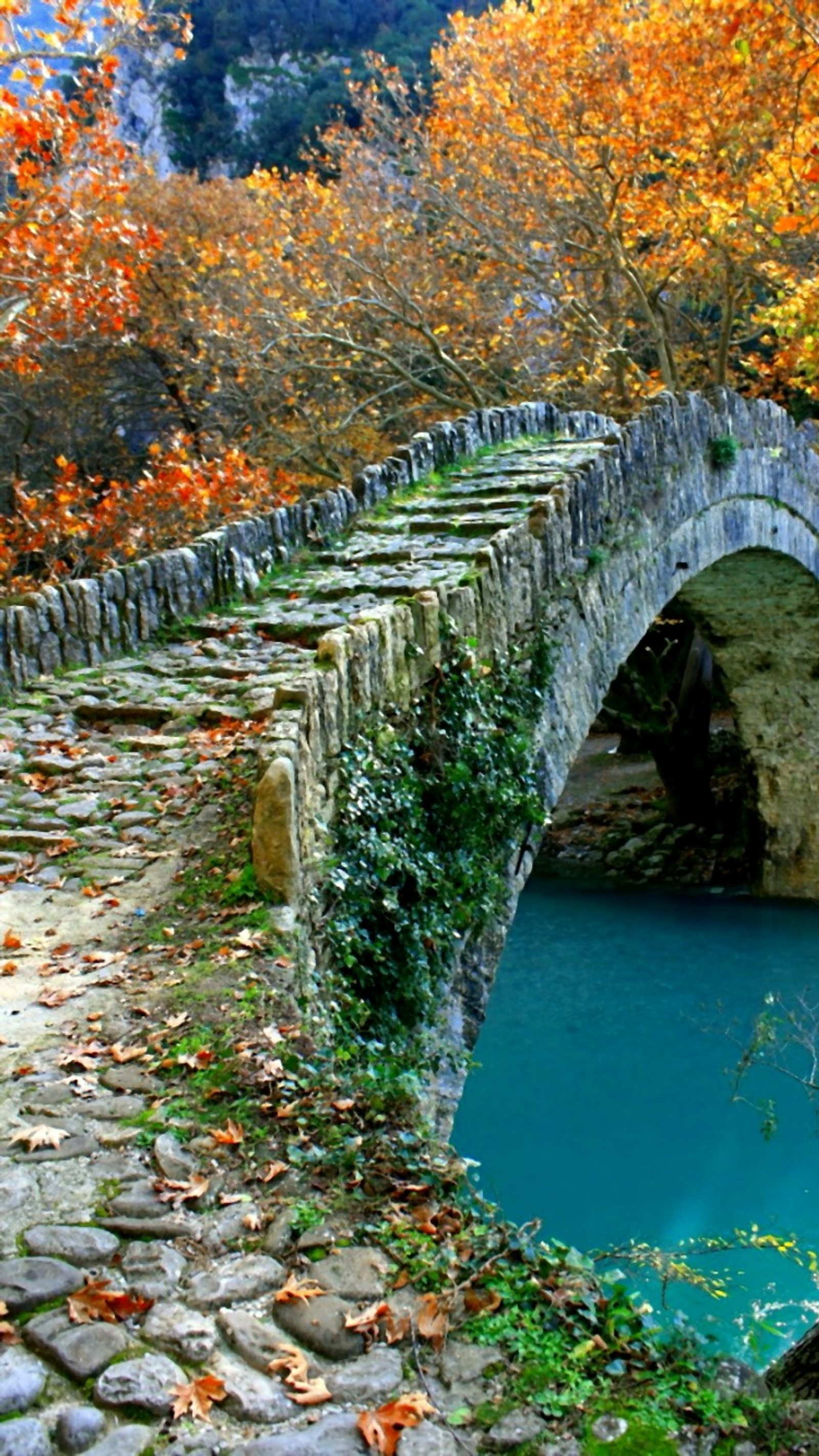 Lade herbst, blau, brücke, blatt Hintergrund herunter