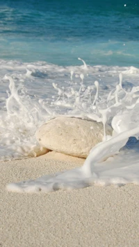 ocean, sand, sea, stone