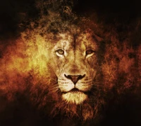 animal, fire, lion, orange, wild