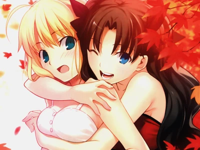 anime, fatezero, menina