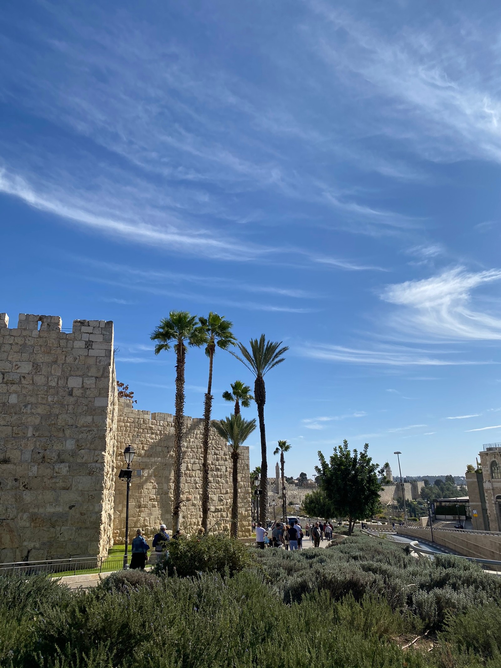 Arafed view of a clock tower with palm trees in front of it (archaeological site, palm trees, ancient history, woody plant, stone wall)