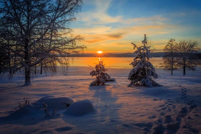 Nascer do sol de inverno sobre paisagem coberta de neve