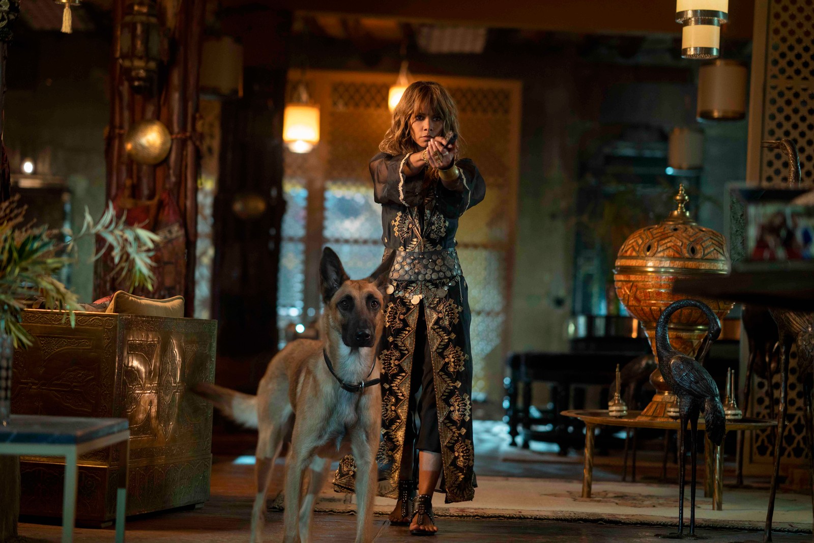 Araffe woman in a black dress standing next to a dog (fawn, film, action, keanu reeves, film director)