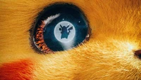 pikachu, eye, iris, fur, organ